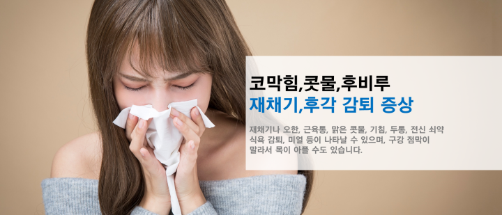비중격 이미지