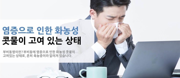 비중격 이미지