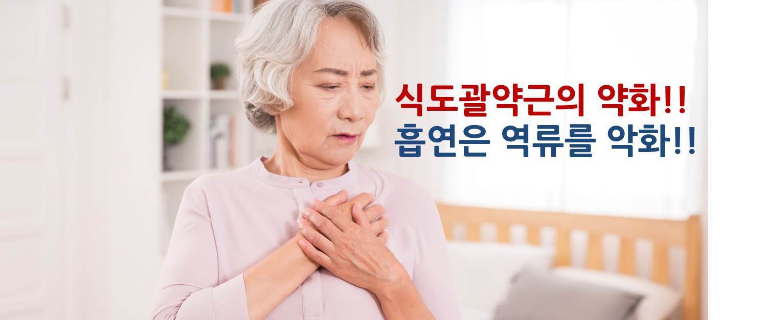 비중격 이미지