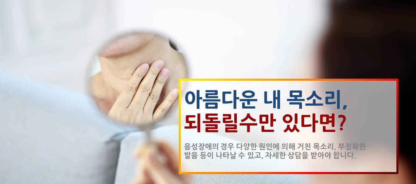 비중격 이미지